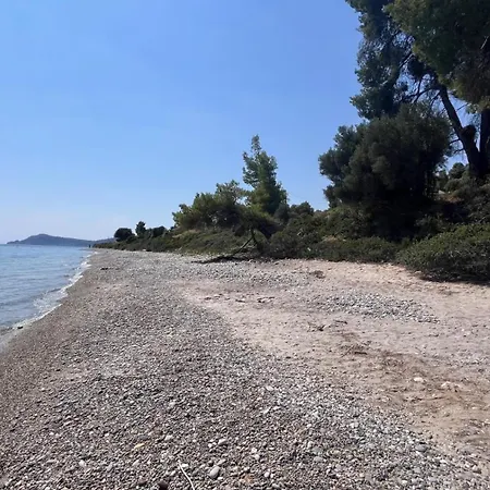 Kaloutsikos Sea View House