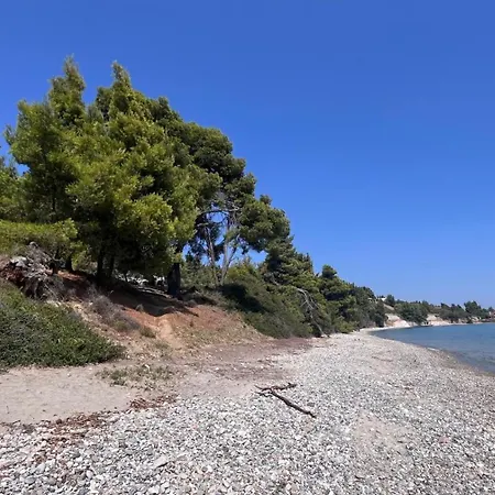 Kaloutsikos Sea View House Tatil Evi
