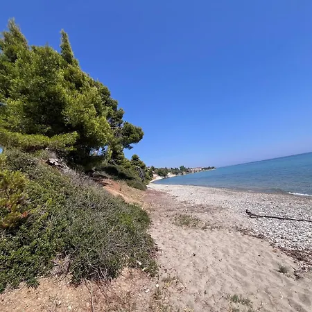 Kaloutsikos Sea View House Mola Kalyva