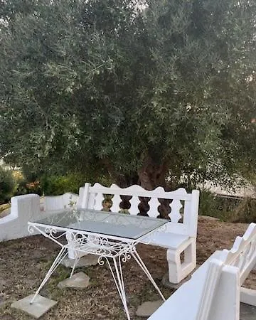 Kaloutsikos Sea View House *